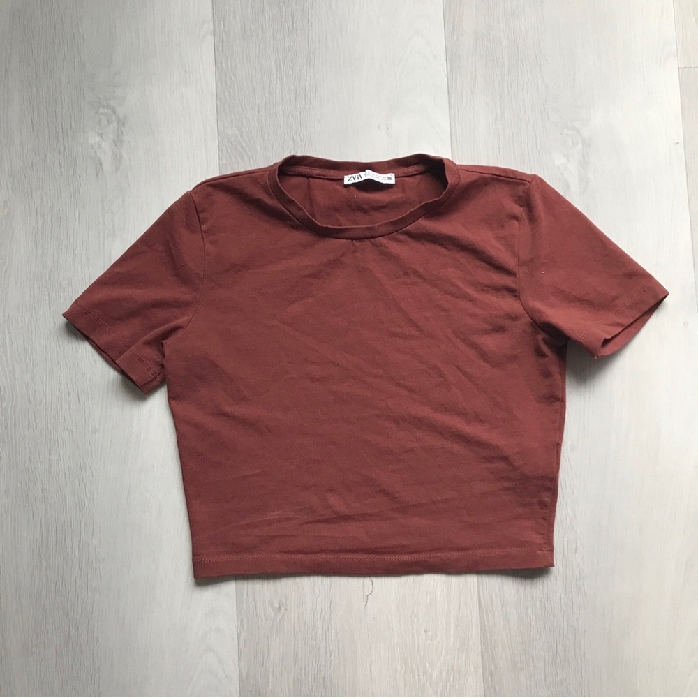 ZARA CROPPED T SHIRT BROWN SHORT SLEEVE CREW NECK WOMENS SMALL